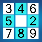 Sudoku Mastermind Puzzles