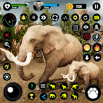 Scary Elephant Animal Wildlife