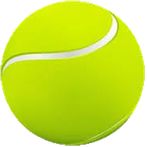 Sports : Tennis