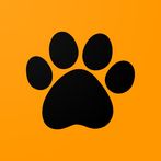 Tiger Memory Game
