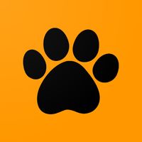 Tiger Memory Game