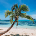 Frond Islands Sandy Beaches