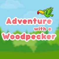 Woodpecker Adventure