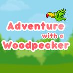 Woodpecker Adventure