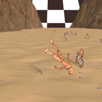 Bicycle Race