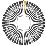 Roleta do dinheiro - desabilit
