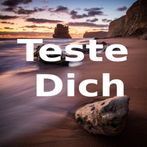 Teste Dich
