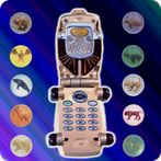 DX Ranger Wild Morpher Force
