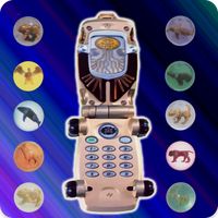DX Ranger Wild Morpher Force