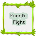 kungfu fight