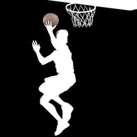 Shot the Basketball Challenge