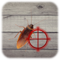 Kill Cockroach