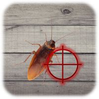 Kill Cockroach