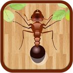 Ant Smasher
