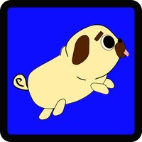 Flappy Pug
