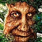 Мудрый Дуб Мистическое Дерево