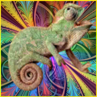 Chameleon
