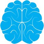 Alphabrain: fast math brain wo