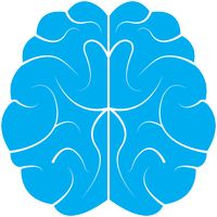 Alphabrain: fast math brain wo