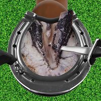 Horse Hoof Trimming & cleaning