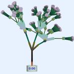 Botanist - Flower game