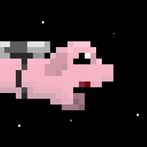 Space Piggy