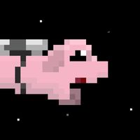 Space Piggy