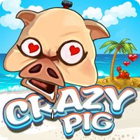 Crazy Pig