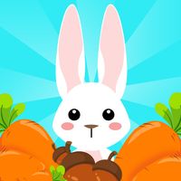 Bunny Bunny(토끼 잡기 게임)