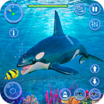 Orca Killer Whale Simulator