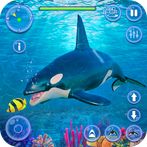 Orca Killer Whale Simulator
