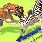 Animal Rescue
