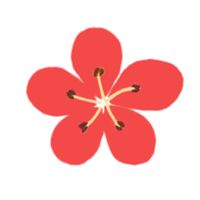 Korean Flower Name Game