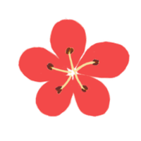 Korean Flower Name Game