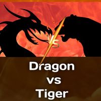 Dragon Vs Tiger Master