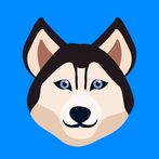 Dog Quiz - Guess the Breed!