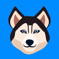 Dog Quiz - Guess the Breed!