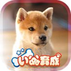 Shibainu Simulation Game 3D