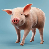 Звуки животных и голоса птиц