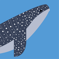 Find the Whales: Español