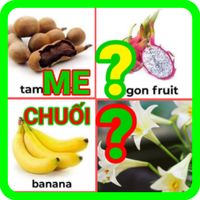 đoán tên hoa quả