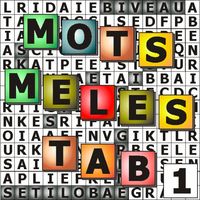 Word Search Tab 1 FR