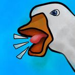 Goose.io