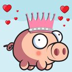 Cute pigs