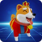 Shiba Viewer App