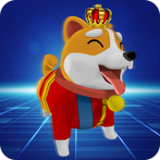 Shiba Viewer App