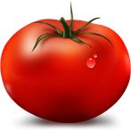 TOMATO