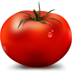 TOMATO