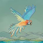 עץ הדר בלב מדבר