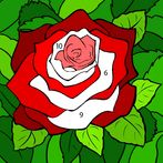 Coloring Book Paint by Number